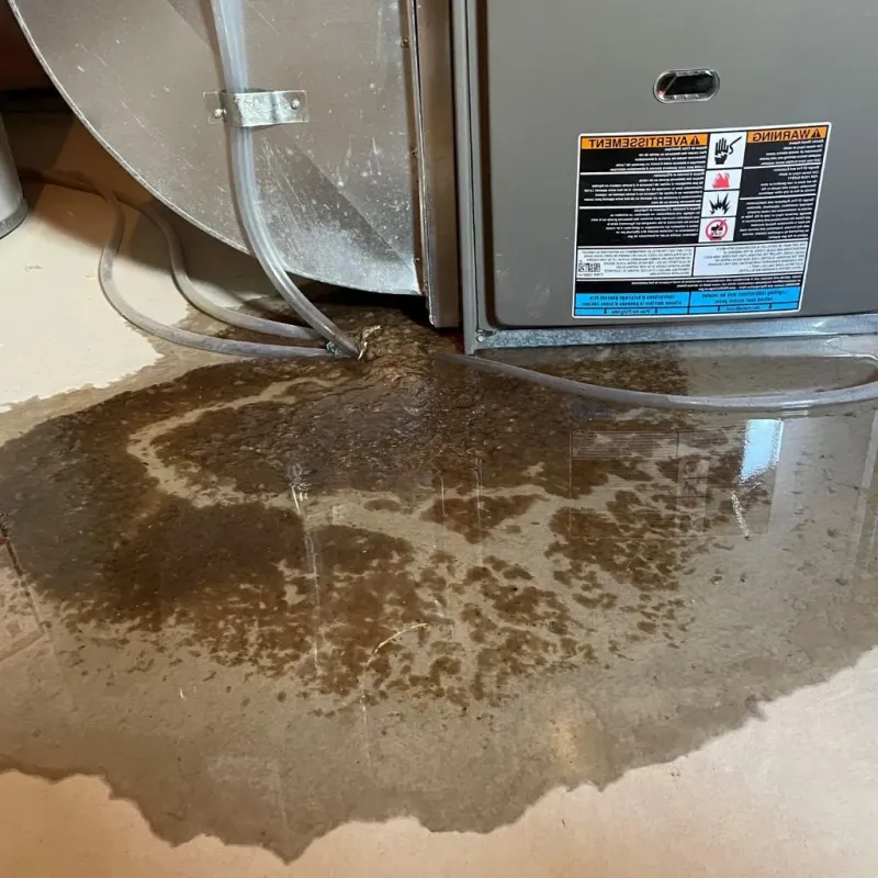 Pipe Burst and Leak Restoration in Provo, UT